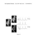 OPTOGENETIC PROBES FOR MEASURING MEMBRANE POTENTIAL diagram and image