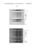 USE OF RNA REMOVAL TO INITIATE PROTEIN AGGREGATION diagram and image