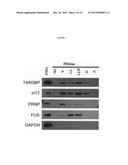 USE OF RNA REMOVAL TO INITIATE PROTEIN AGGREGATION diagram and image
