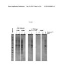 USE OF RNA REMOVAL TO INITIATE PROTEIN AGGREGATION diagram and image