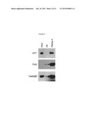 USE OF RNA REMOVAL TO INITIATE PROTEIN AGGREGATION diagram and image