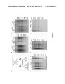 USE OF RNA REMOVAL TO INITIATE PROTEIN AGGREGATION diagram and image