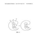 Polypeptide Immobilization diagram and image