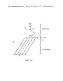 Polypeptide Immobilization diagram and image