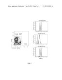 METHOD TO IDENTIFY PATIENTS THAT WILL LIKELY RESPOND TO ANTI-TNF THERAPY diagram and image