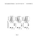 METHOD TO IDENTIFY PATIENTS THAT WILL LIKELY RESPOND TO ANTI-TNF THERAPY diagram and image