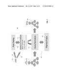 Framework for Re-Writing Database Queries diagram and image