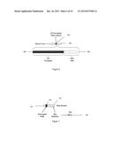 META-COMPLETE DATA STORAGE diagram and image