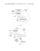 META-COMPLETE DATA STORAGE diagram and image