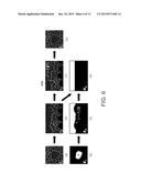 SEGMENTATION AND IDENTIFICATION OF CLOSED-CONTOUR FEATURES IN IMAGES USING     GRAPH THEORY AND QUASI-POLAR TRANSFORM diagram and image