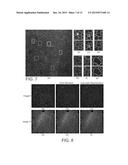 SEGMENTATION AND IDENTIFICATION OF CLOSED-CONTOUR FEATURES IN IMAGES USING     GRAPH THEORY AND QUASI-POLAR TRANSFORM diagram and image