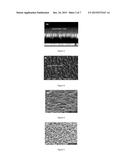 CAPACITIVELY COUPLED ELECTRODELESS PLASMA APPARATUS AND A METHOD USING     CAPACITIVELY COUPLED ELECTRODELESS PLASMA FOR PROCESSING A SILICON     SUBSTRATE diagram and image