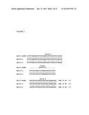 STABLE TRANSFORMATION OF A POPULATION AND A METHOD OF BIOCONTAINMENT USING     HAPLOINSUFFICIENCY AND UNDERDOMINANCE PRINCIPLES diagram and image