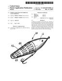 FISHING LURE WITH FLOW-THROUGH CAVITY PORTIONS diagram and image