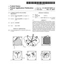 GARMENT HAVING DETACHABLE ORNAMENT diagram and image