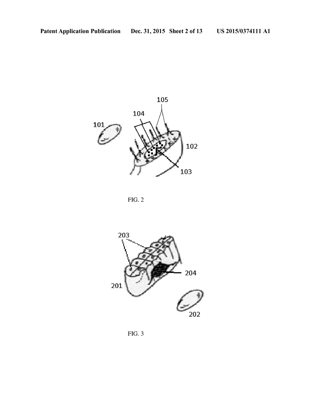 DISPOSABLE TOOTHBRUSH - diagram, schematic, and image 03