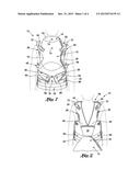 INFANT CARRIER WITH EXPANDABLE SEAT diagram and image