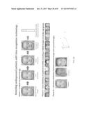 SYSTEMS, METHODS, AND COMPUTER-READABLE MEDIA FOR TIME LAPSE IMAGE     COMPARISON IN GENETIC DISORDER ANALYSIS diagram and image