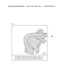 IMAGE DISPLAY TO DISPLAY INTERNAL STRUCTURE WITH CHANGE OF DEPTH diagram and image