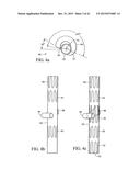 BRANCHED VESSEL ENDOLUMINAL DEVICE diagram and image