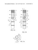 BRANCHED VESSEL ENDOLUMINAL DEVICE diagram and image