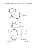 BRANCHED VESSEL ENDOLUMINAL DEVICE diagram and image