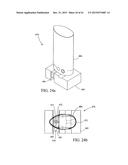 BRANCHED VESSEL ENDOLUMINAL DEVICE diagram and image