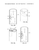 BRANCHED VESSEL ENDOLUMINAL DEVICE diagram and image