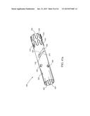 BRANCHED VESSEL ENDOLUMINAL DEVICE diagram and image