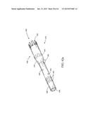 BRANCHED VESSEL ENDOLUMINAL DEVICE diagram and image