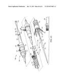 BRANCHED VESSEL ENDOLUMINAL DEVICE diagram and image