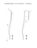 PROSTHETIC FEET AND FOOT COVERS diagram and image