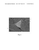 OPEN CELL FOAM ASSOCIATED WITH A SECOND OPEN CELL FOAM diagram and image