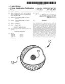 SEMI-PERMEABLE CAPSULAR MEMBRANE WITH TAPERED CONDUITS FOR DIABETES     FUNCTIONAL CURE diagram and image