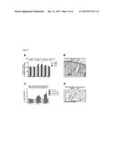 Method for Treating Cerebral Amyloid Angiopathy Using Pharmacological     Chaperones to Increase the Activity of Gangliosidases diagram and image