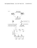 URIDINE DIPHOSPHATE COMPOUNDS AS MOBILIZERS OF HEMATOPOIETIC PROGENITOR     CELLS diagram and image