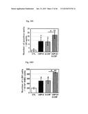 URIDINE DIPHOSPHATE COMPOUNDS AS MOBILIZERS OF HEMATOPOIETIC PROGENITOR     CELLS diagram and image