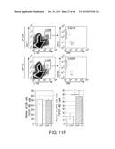 URIDINE DIPHOSPHATE COMPOUNDS AS MOBILIZERS OF HEMATOPOIETIC PROGENITOR     CELLS diagram and image