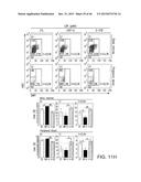 URIDINE DIPHOSPHATE COMPOUNDS AS MOBILIZERS OF HEMATOPOIETIC PROGENITOR     CELLS diagram and image