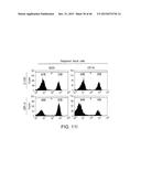 URIDINE DIPHOSPHATE COMPOUNDS AS MOBILIZERS OF HEMATOPOIETIC PROGENITOR     CELLS diagram and image