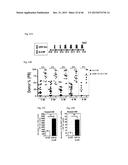 URIDINE DIPHOSPHATE COMPOUNDS AS MOBILIZERS OF HEMATOPOIETIC PROGENITOR     CELLS diagram and image