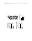 URIDINE DIPHOSPHATE COMPOUNDS AS MOBILIZERS OF HEMATOPOIETIC PROGENITOR     CELLS diagram and image