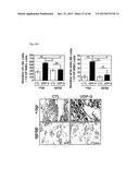 URIDINE DIPHOSPHATE COMPOUNDS AS MOBILIZERS OF HEMATOPOIETIC PROGENITOR     CELLS diagram and image