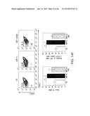 URIDINE DIPHOSPHATE COMPOUNDS AS MOBILIZERS OF HEMATOPOIETIC PROGENITOR     CELLS diagram and image