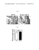 URIDINE DIPHOSPHATE COMPOUNDS AS MOBILIZERS OF HEMATOPOIETIC PROGENITOR     CELLS diagram and image