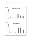 COMPOSITIONS AND METHODS FOR REDUCING GERM CELL DEATH diagram and image