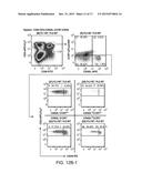 DESIGN OF SHORT OLIGONUCLEOTIDES AS VACCINE ADJUVANTS AND THERAPEUTIC     AGENTS diagram and image