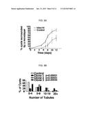 AAV VECTORS EXPRESSING SEC10 FOR TREATING KIDNEY DAMAGE diagram and image