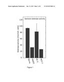 HYPERPOLARIZED ESTERS AS METABOLIC MARKERS IN MR diagram and image