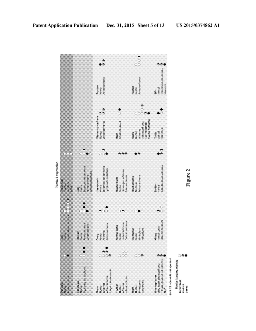 COMPOSITIONS AND METHODS FOR DETECTING PLECTIN-1 AS A BIOMARKER FOR CANCER - diagram, schematic, and image 06